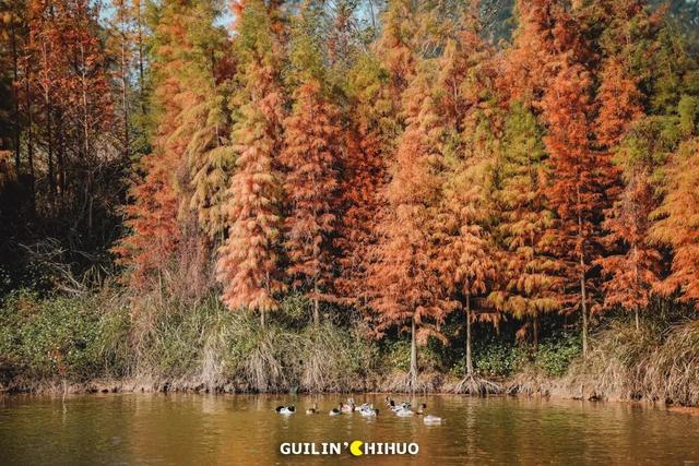 冬至丨解锁桂林的多彩冬天！