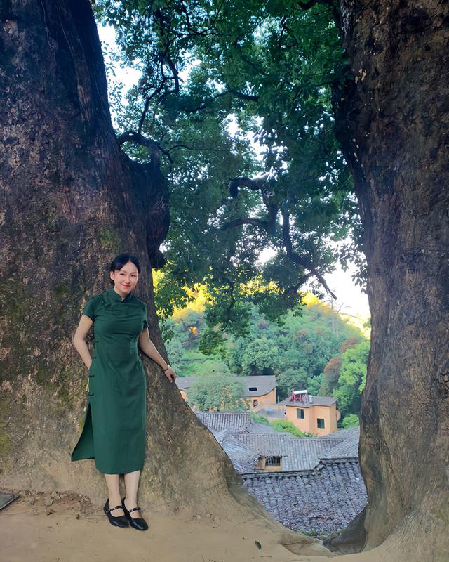 包慧怡：酉田村译事