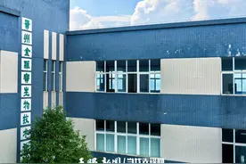 金维宝公司：以刺梨为媒 助乡村振兴图片