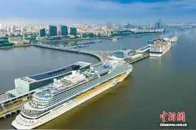 截至8月10日 今年已有超390艘次邮轮从上海口岸出入境图片