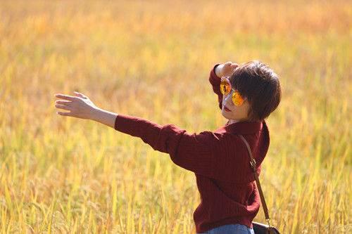 江宁佘村稻香吸引中外游客