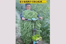 半岛叨叨丨年产180万吨！山东人“吃不完”的豆橛子，到底有什么魅力？图片
