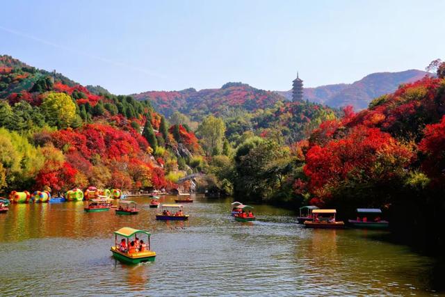 万山红遍正当时！济南红叶谷进入最佳观赏期
