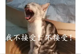 离婚后，前夫的非婚生子是否有权继承我的遗产？遗嘱能否指定仅由亲生女儿继承？图片