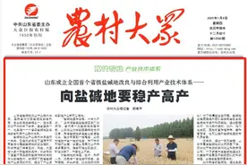 今日报纸头条｜向盐碱地要稳产高产图片
