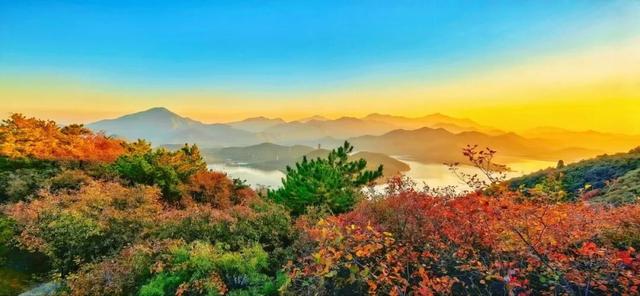 颜值巅峰！北京秋日“调色盘”尽在这些水岸——