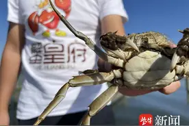 桂花入馔，蟹宴登场，苏州的秋天"好吃"到上头图片