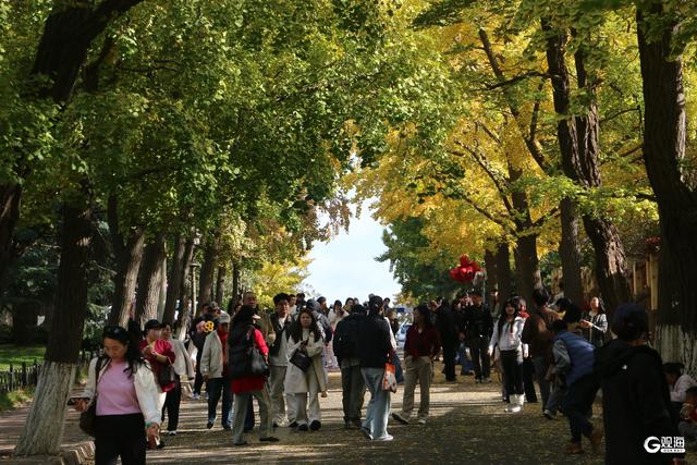 缓扫一片秋，赴青岛的五彩之约