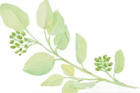 母亲节特辑 |我心中的妈妈图片