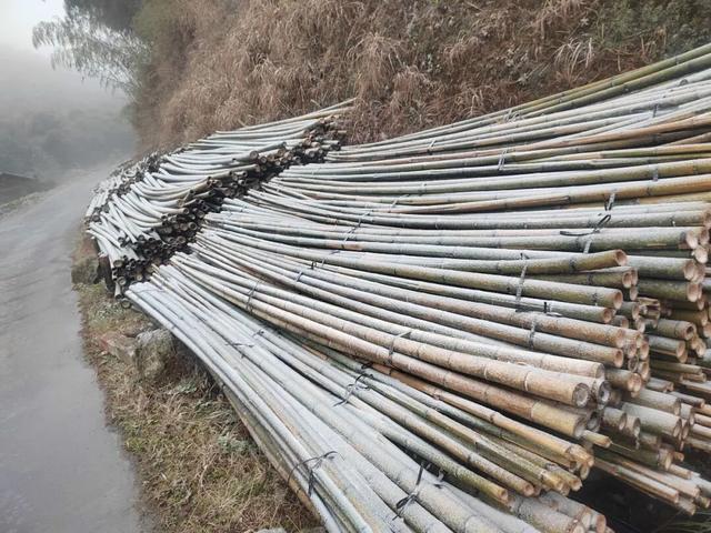 融水2026第一场雪来啦！你的朋友圈被刷屏了吗？