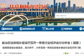 广西住房和城乡建设厅召开一季度行业经济运行分析会图片