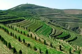 定西安定区：矢志不移谱写绿色答卷图片