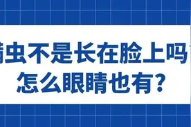 爱尔科普：眼睛发痒，还掉睫毛？原来是螨虫惹的祸！图片