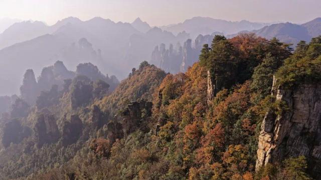 摄影故事 | 霞染秋峰入镜来——世界自然遗产武陵源巡礼手记