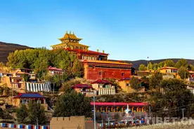 登珍益沙：为藏传佛教发展传承贡献青春力量图片