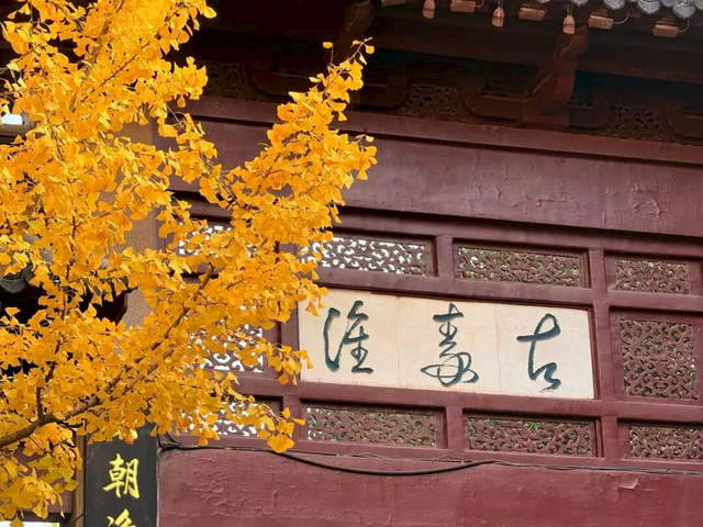 怎么能错过秦淮的秋天呢？