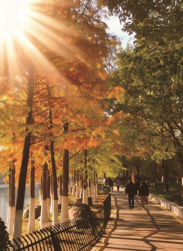 宿来拍丨捕捉秋阳