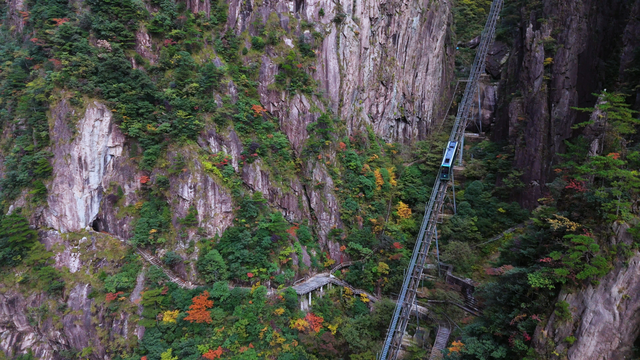 出片率100%！黄山风景区进入最佳赏秋期