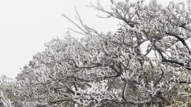 融水2026第一场雪来啦！你的朋友圈被刷屏了吗？