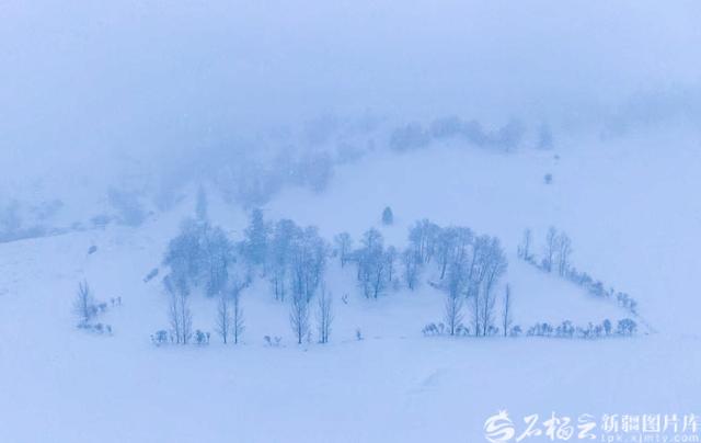 那拉提：雪花轻舞绘就清雅丹青