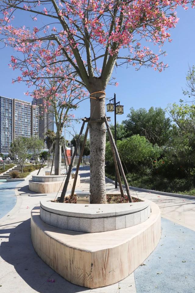 海防遗址+落日栈道，东海小众漫游地！