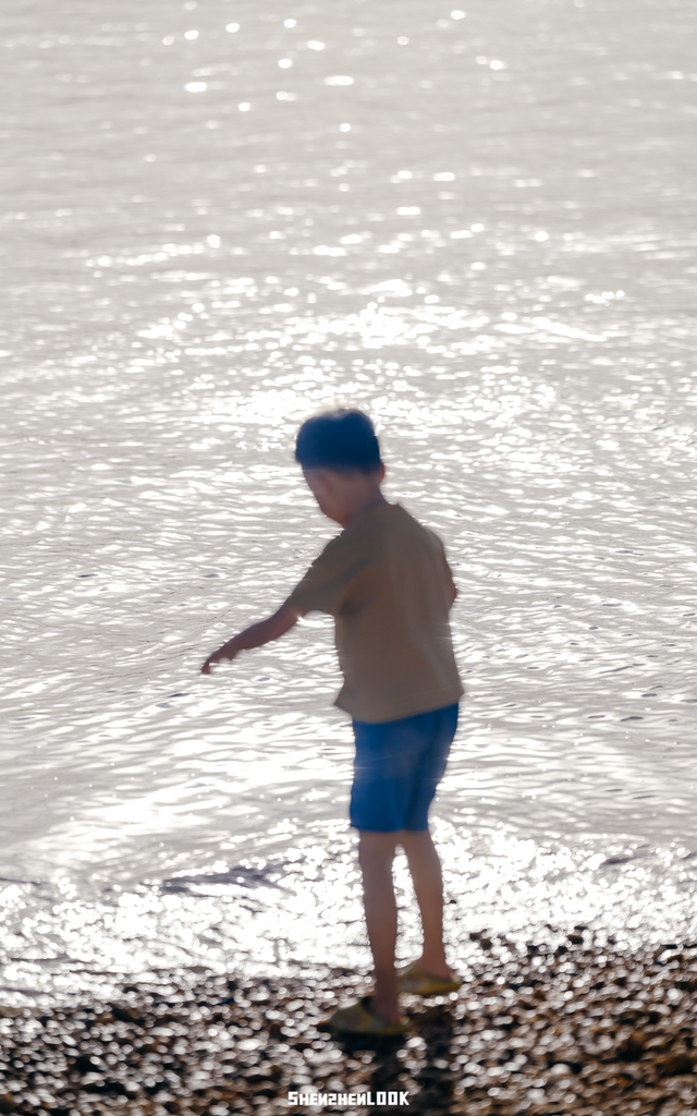 “看牛看海看夜景，深圳骑行路线精选”