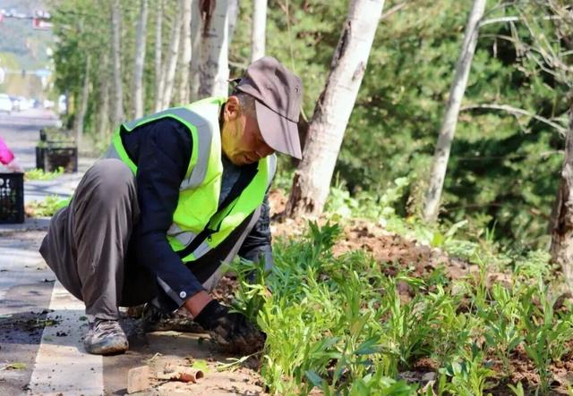 五台山秋日限定：各色繁花扮靓景区 游人尽享好风光