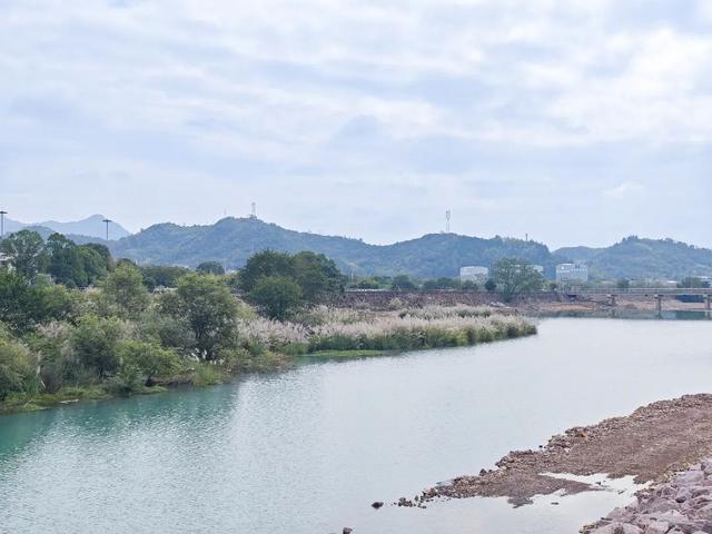 莲都人周末新去处！打卡“现实版开心农场”