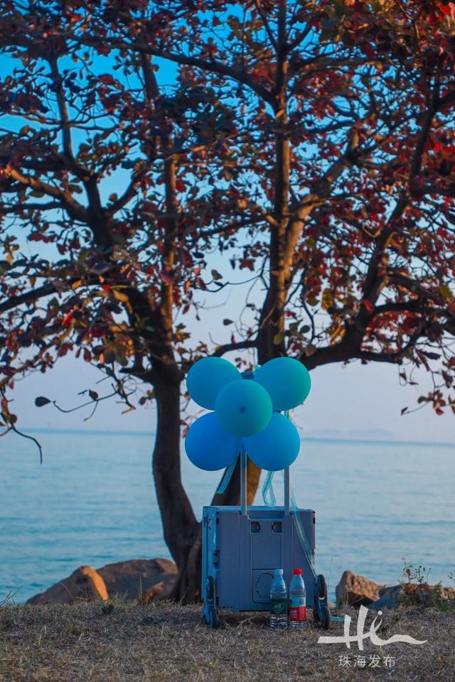 上新！珠海“顶流爱心树”浪漫升级，出片率100%！