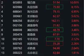 业绩大增！晶晨股份涨超14%，瑞芯微涨停！芯片ETF（159995）持续拉升图片