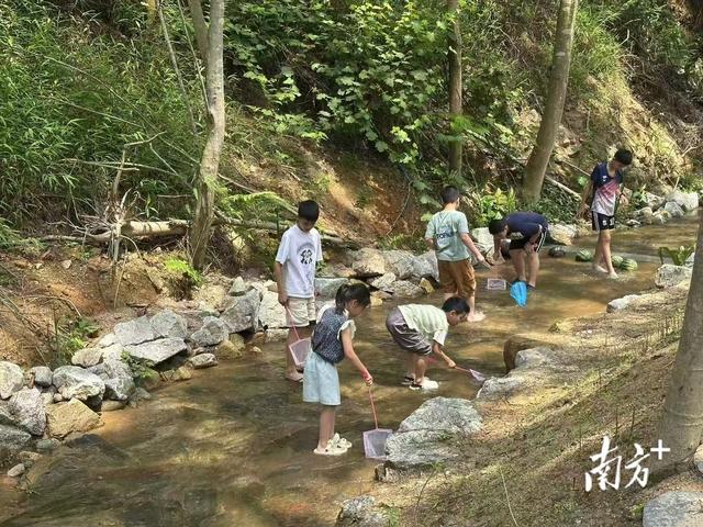 探秘佛山最西端，溯沧江之源，享清凉一夏
