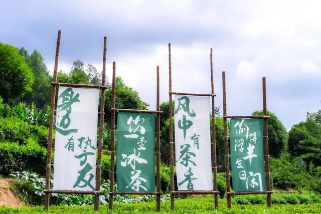 一溪“咖位”出圈！ 汉中又添一网红打卡点！