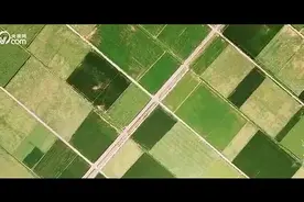 绿水青山间｜沙海中的绿色交响视频封面