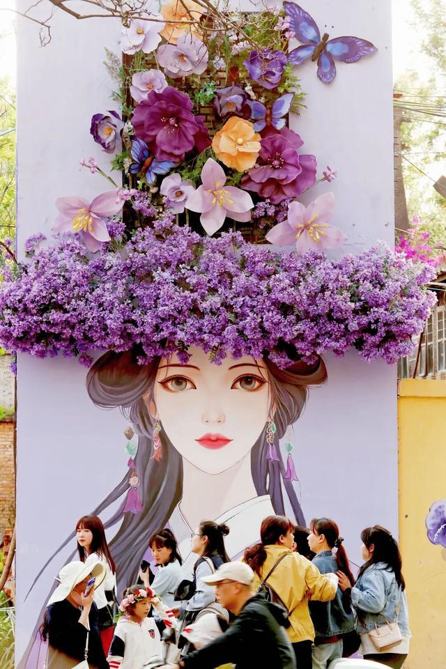 中转长水机场乘客请注意 有免费观光车直通教场中路蓝花楹花海