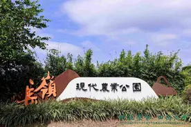 科学“路线图”变为“实景画” 广州黄埔授牌一批教育基地图片