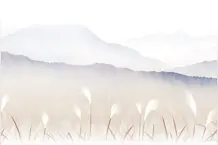 海风吹 芦花飘图片