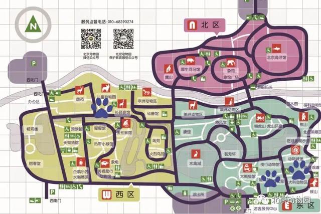 “疯狂动物城”原型，在北京找到了！