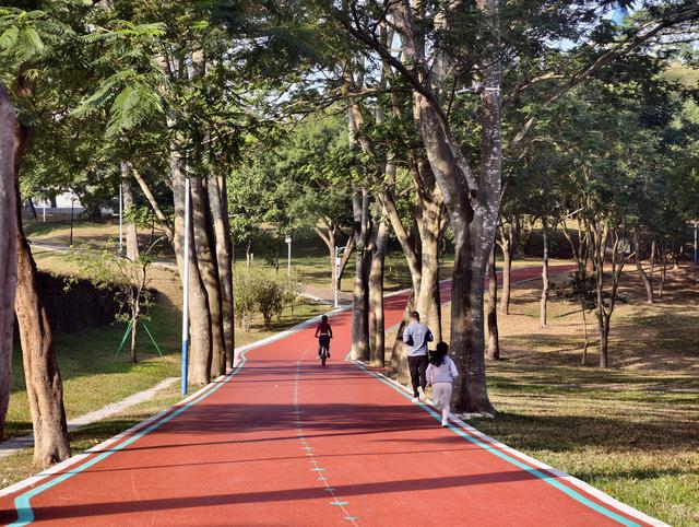 深圳最长环湖骑行道贯通！骑行如入画中，就在宝安石岩