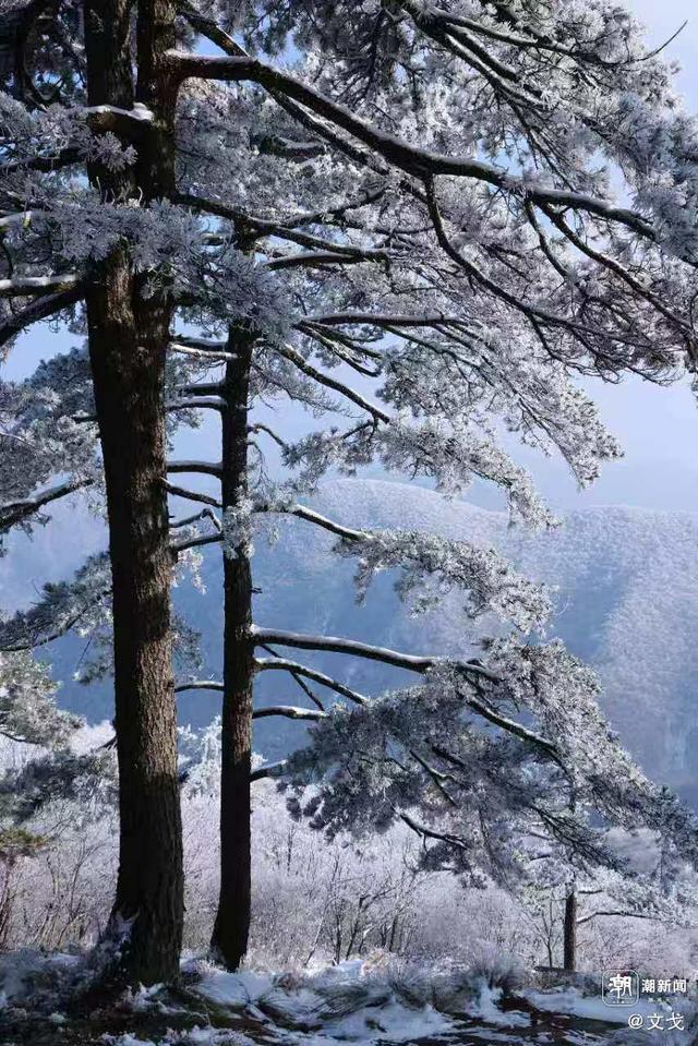 晚潮｜桐杭岗今冬第一场大雪