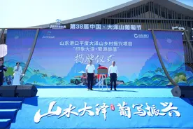 大泽山葡萄和山东港口一起“圈粉”？青岛这里热闹起来了！图片