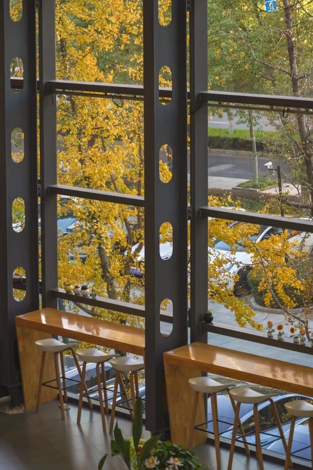 “美神”降临！太仓限定秋日美景，真的“杀”疯了！