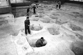 测年技术：重建10万年间水稻从野生到驯化演化史图片