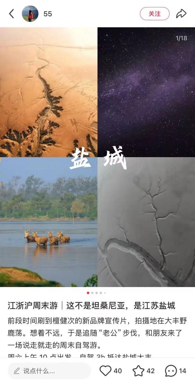 跟着达人一起打卡盐城限定秋景~