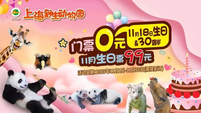 上新啦！魔都这些地方又有新玩法