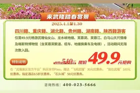 武隆景区推出亲邻Pass卡、深度游Pass卡 邀你解锁春日超值玩法图片