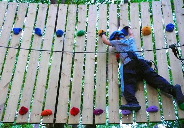 进博逛展意犹未尽？“上海之根”松江这3条主题线路，每款都藏惊喜～～～