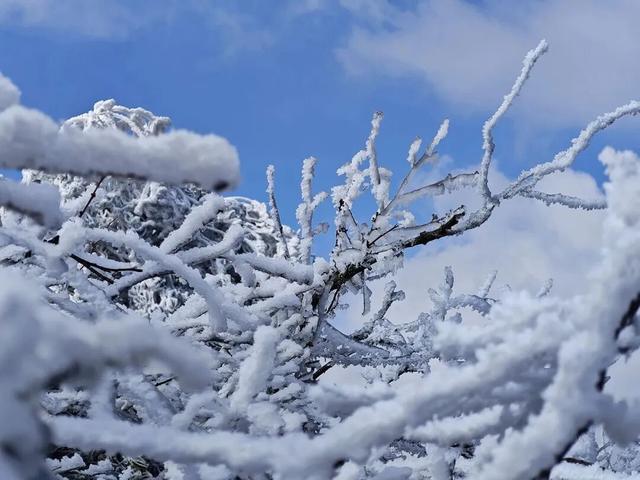秋冬游资源！雾凇染丹霞，油茶暖红韵，这趟桂北秘境之旅很治愈