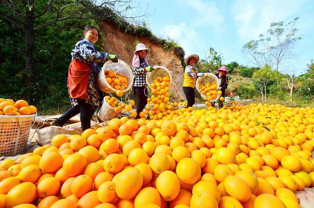探寻美丽中国气候生态篇|从气象乡愁看多彩江西—最是文化润人心