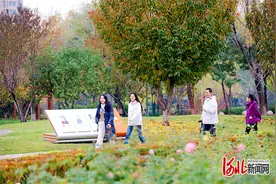碧水绕湖城 宜居生态美——滏阳河衡水市区段生态河道治理见闻图片