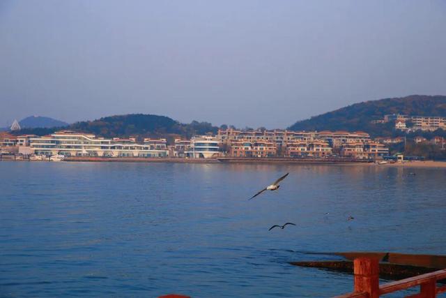 真正的浪漫，是冬天去威海看海